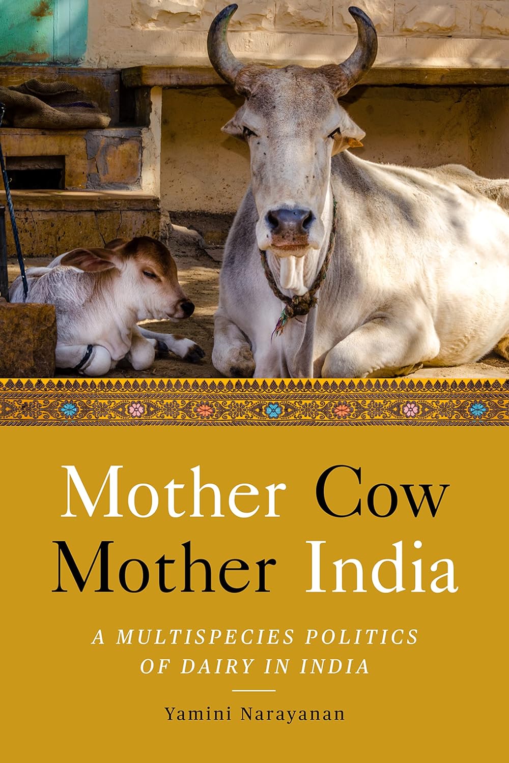 Mother Cow, Mother India: A Multispecies Politics of Dairy in India